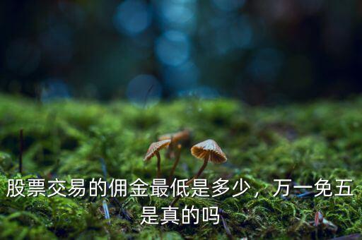 股票交易的傭金最低是多少，萬一免五是真的嗎