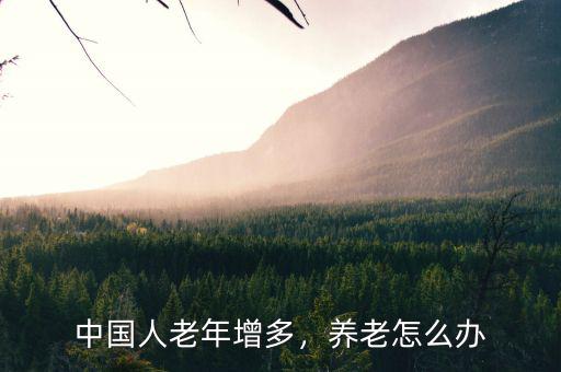 中國(guó)人老年增多，養(yǎng)老怎么辦