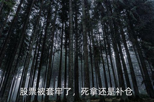 股票被套牢了，死拿還是補倉