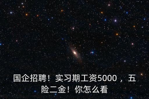 國企招聘！實習(xí)期工資5000 ，五險二金！你怎么看