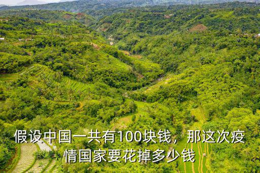 假設(shè)中國(guó)一共有100塊錢(qián)，那這次疫情國(guó)家要花掉多少錢(qián)