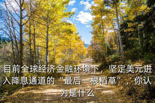 目前全球經(jīng)濟金融環(huán)境下，堅定美元進入降息通道的“最后一根稻草”，你認為是什么