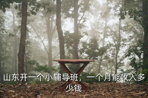 山東開(kāi)一個(gè)小輔導(dǎo)班，一個(gè)月能收入多少錢(qián)