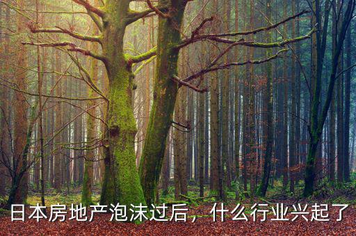 日本房地產(chǎn)泡沫過后，什么行業(yè)興起了