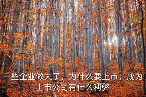 一些企業(yè)做大了，為什么要上市，成為上市公司有什么利弊