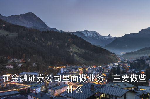 在金融證券公司里面做業(yè)務(wù)，主要做些什么