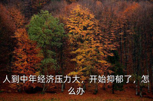 人到中年經(jīng)濟(jì)壓力大，開始抑郁了，怎么辦
