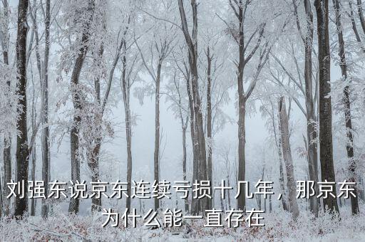 劉強(qiáng)東說京東連續(xù)虧損十幾年，那京東為什么能一直存在
