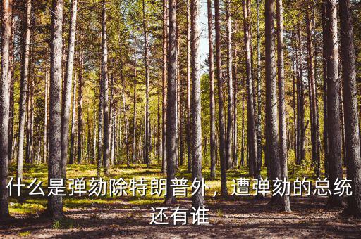 什么是彈劾除特朗普外，遭彈劾的總統(tǒng)還有誰