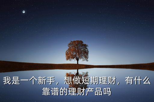我是一個(gè)新手，想做短期理財(cái)，有什么靠譜的理財(cái)產(chǎn)品嗎
