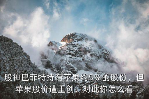 股神巴菲特持有蘋(píng)果約5％的股份，但蘋(píng)果股價(jià)遭重創(chuàng)，對(duì)此你怎么看