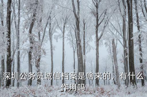 深圳公務(wù)員誠(chéng)信檔案是啥來的，有什么作用嗎