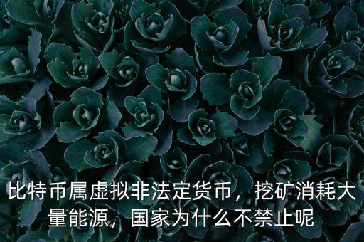 比特幣屬虛擬非法定貨幣，挖礦消耗大量能源，國(guó)家為什么不禁止呢