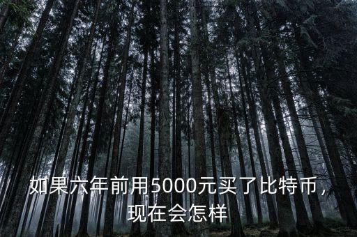 如果六年前用5000元買了比特幣，現(xiàn)在會怎樣