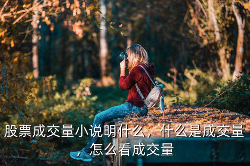 股票成交量小說明什么，什么是成交量，怎么看成交量