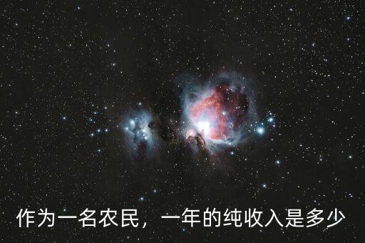 作為一名農(nóng)民，一年的純收入是多少