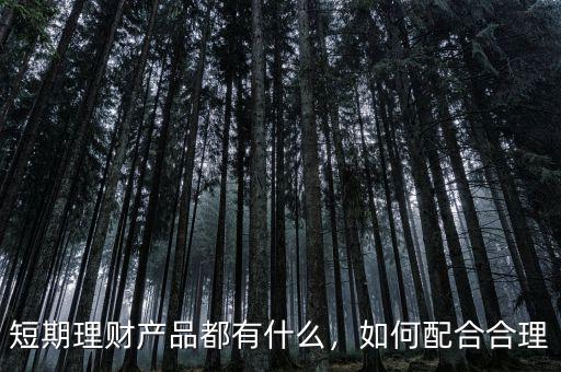 短期理財產(chǎn)品都有什么，如何配合合理