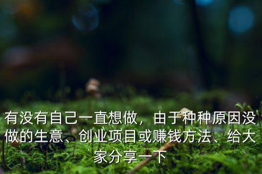 有沒有自己一直想做，由于種種原因沒做的生意、創(chuàng)業(yè)項目或賺錢方法、給大家分享一下