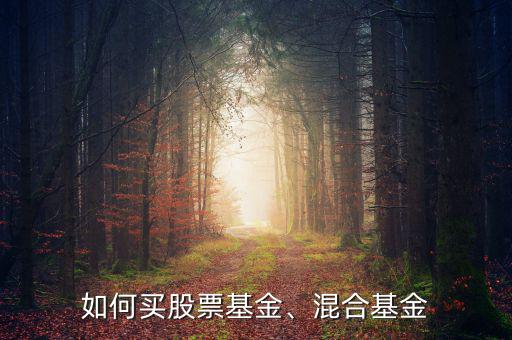 如何買股票基金、混合基金