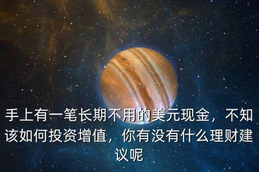 手上有一筆長(zhǎng)期不用的美元現(xiàn)金，不知該如何投資增值，你有沒有什么理財(cái)建議呢