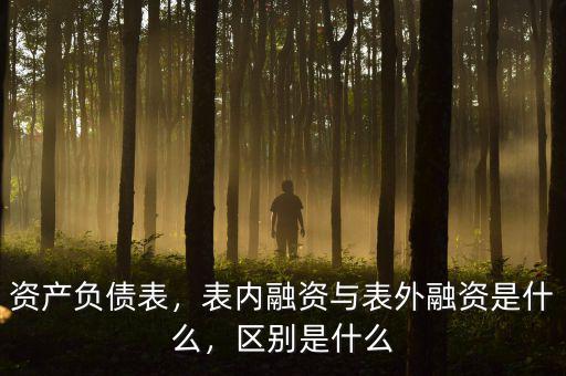 資產(chǎn)負(fù)債表，表內(nèi)融資與表外融資是什么，區(qū)別是什么