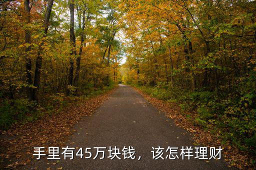 手里有45萬塊錢，該怎樣理財