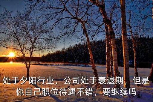 處于夕陽行業(yè)，公司處于衰退期，但是你自己職位待遇不錯，要繼續(xù)嗎