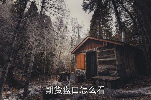 期貨盤(pán)口怎么看