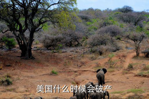 美國什么時(shí)候會破產(chǎn)