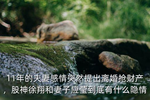 11年的夫妻感情突然提出離婚搶財產(chǎn)，股神徐翔和妻子應(yīng)瑩到底有什么隱情