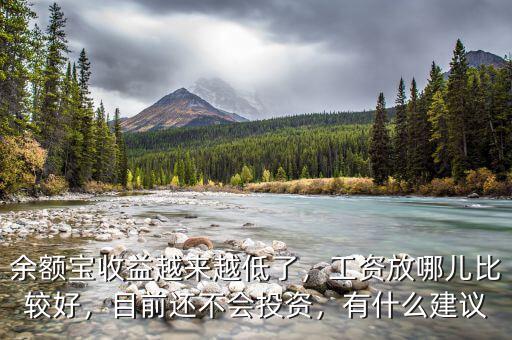 余額寶收益越來(lái)越低了，工資放哪兒比較好，目前還不會(huì)投資，有什么建議