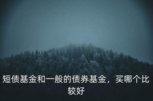 短債基金和一般的債券基金，買哪個比較好