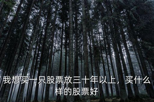 我想買一只股票放三十年以上，買什么樣的股票好