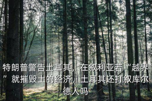 特朗普警告土耳其，在敘利亞若“越界”就摧毀土的經(jīng)濟(jì)，土耳其還打敘庫(kù)爾德人嗎