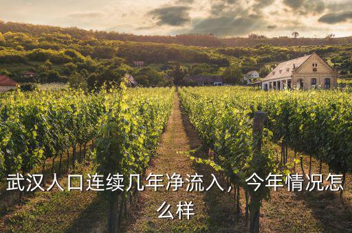 武漢人口連續(xù)幾年凈流入，今年情況怎么樣
