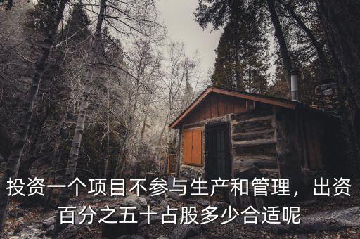 投資一個(gè)項(xiàng)目不參與生產(chǎn)和管理，出資百分之五十占股多少合適呢