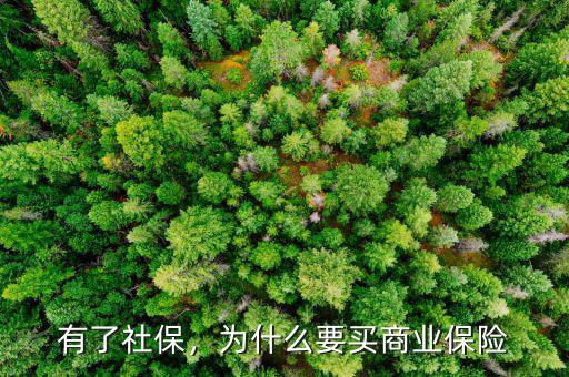 有了社保，為什么要買商業(yè)保險