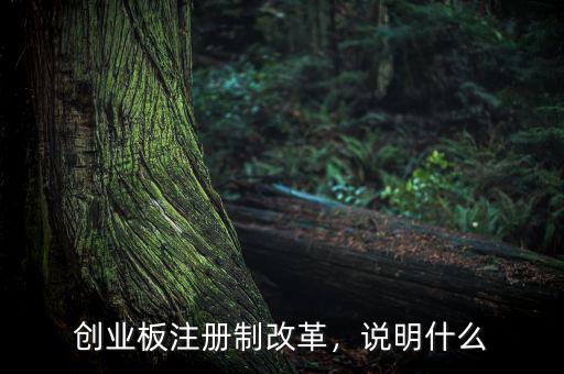 創(chuàng)業(yè)板注冊(cè)制改革，說明什么