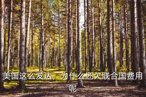 為什么美國欠中國錢,為什么還欠聯合國費用呢