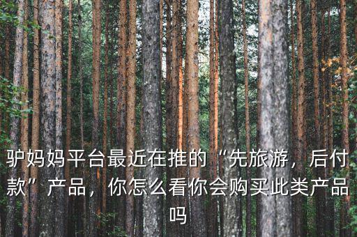 驢媽媽平臺(tái)最近在推的“先旅游，后付款”產(chǎn)品，你怎么看你會(huì)購(gòu)買此類產(chǎn)品嗎