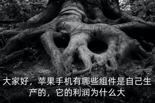 大家好，蘋(píng)果手機(jī)有哪些組件是自己生產(chǎn)的，它的利潤(rùn)為什么大
