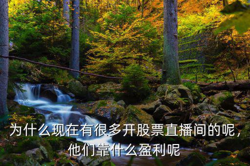 為什么現(xiàn)在有很多開(kāi)股票直播間的呢，他們靠什么盈利呢