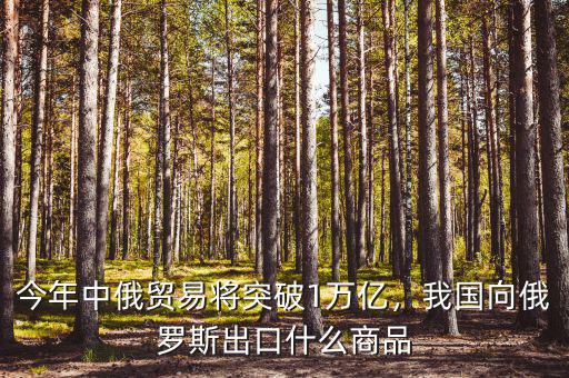 今年中俄貿(mào)易將突破1萬億，我國向俄羅斯出口什么商品