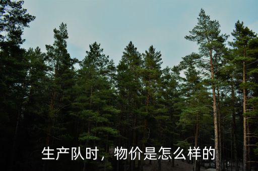 生產(chǎn)隊(duì)時(shí)，物價(jià)是怎么樣的