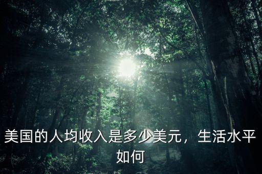 美國的人均收入是多少美元，生活水平如何