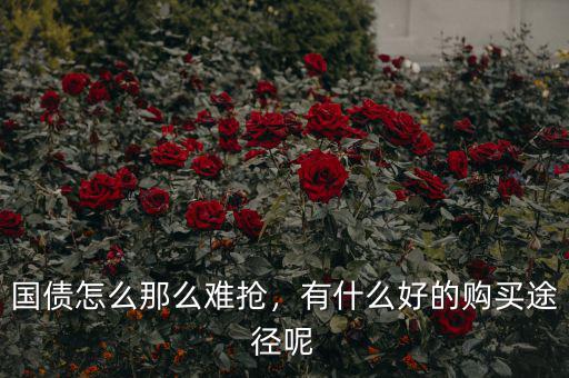 國債怎么那么難搶，有什么好的購買途徑呢