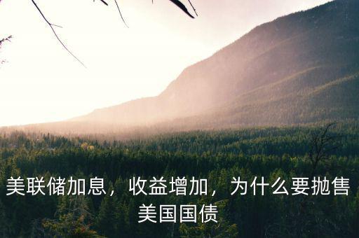 美聯(lián)儲加息，收益增加，為什么要拋售美國國債