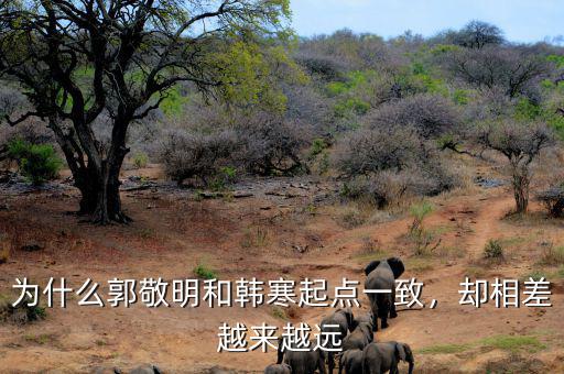 為什么郭敬明和韓寒起點(diǎn)一致，卻相差越來越遠(yuǎn)