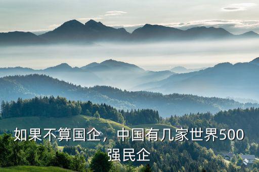 如果不算國企，中國有幾家世界500強(qiáng)民企