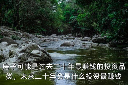 房子可能是過去二十年最賺錢的投資品類，未來二十年會是什么投資最賺錢